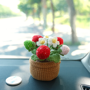 Plant & Flower