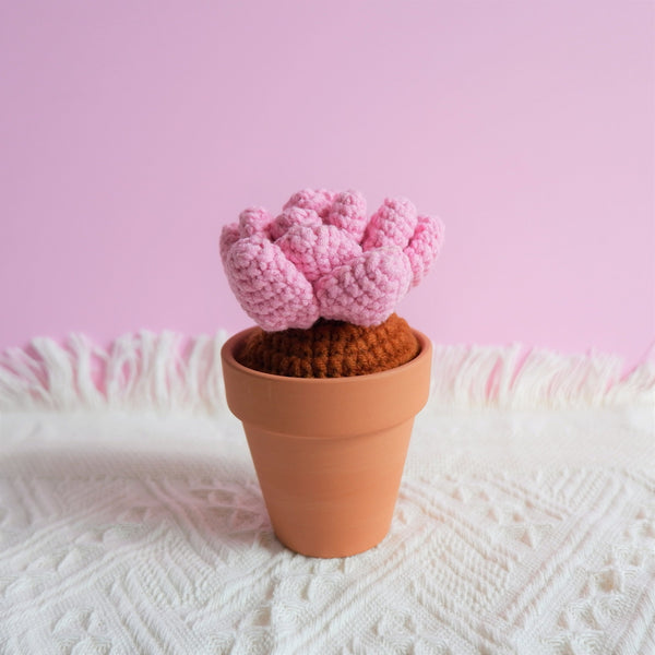 Crochet Potted Plants, Mini Succulents Car Dashboard Decor, Kawaii Car Accessory for Women, Work from Home Gift, Office Desk Accessories