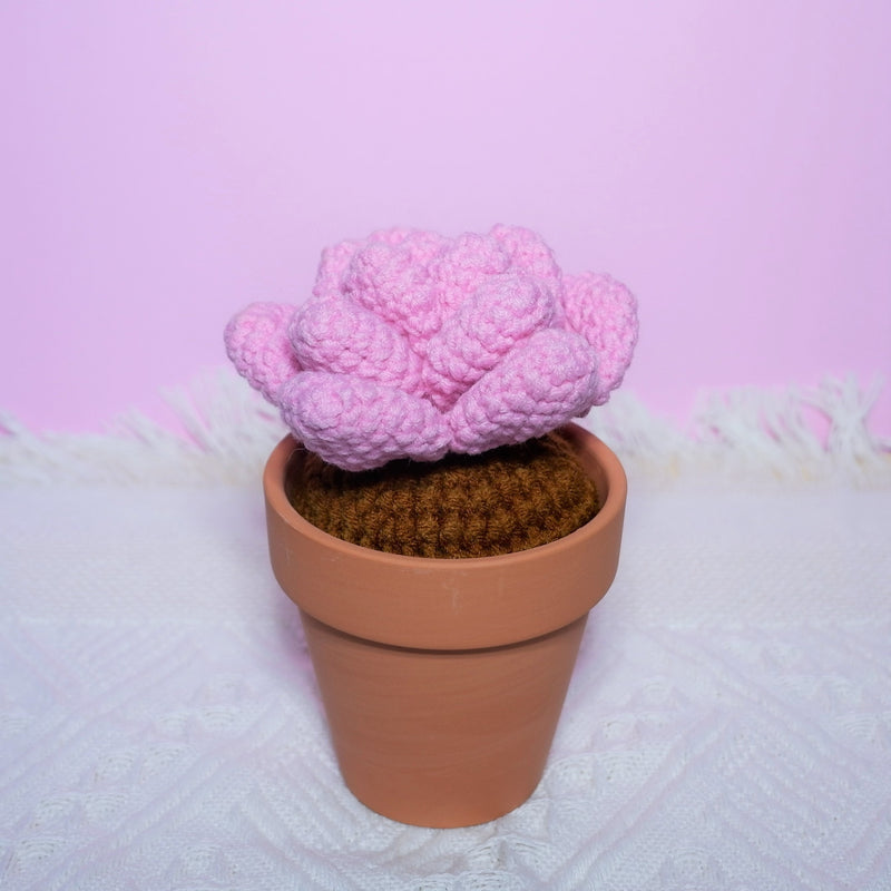 Crochet Potted Plants, Mini Succulents Car Dashboard Decor, Kawaii Car Accessory for Women, Work from Home Gift, Office Desk Accessories